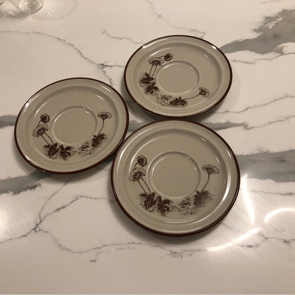 Noritake Desert Flowers 8341 Beige and Brown Floral Saucer Trio